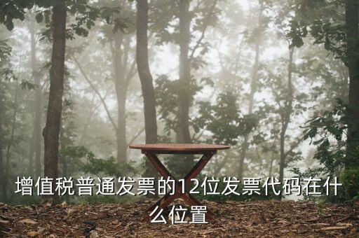 12位發(fā)票代碼是什么，增值稅普通發(fā)票的12位發(fā)票代碼在什么位置