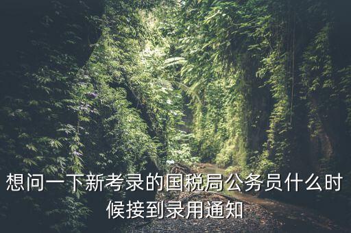 國稅錄取通知什么時候，今年國稅公務(wù)員正式錄用公告什么時候出