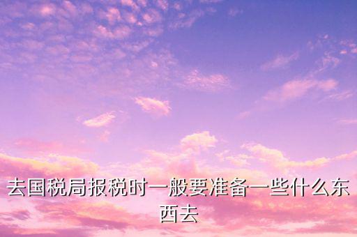 去國稅局申報(bào)需要帶什么，去地稅局和國稅局報(bào)稅需要帶哪些資料