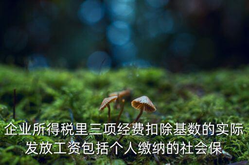 企業(yè)所得稅扣除基數(shù)指什么，企業(yè)所得稅里三項(xiàng)經(jīng)費(fèi)扣除基數(shù)的實(shí)際發(fā)放工資包括個人繳納的社會保