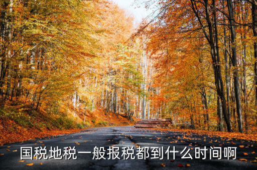 國稅上報省局什么時候，國稅地稅網(wǎng)上報稅時間