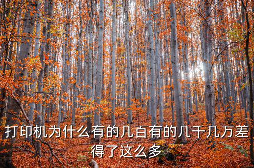 發(fā)票打印機(jī)為什么這么貴，為什么針式打印機(jī)還是那么貴