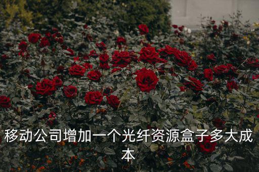 移動(dòng)公司增加一個(gè)光纖資源盒子多大成本