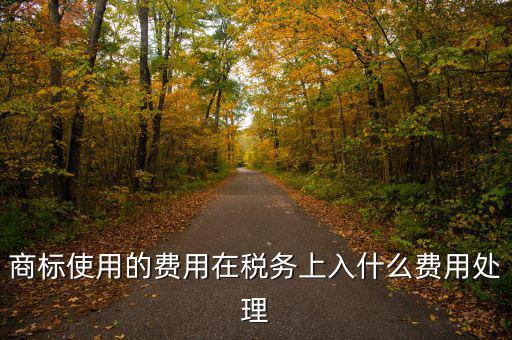 商標使用的費用在稅務(wù)上入什么費用處理