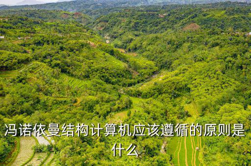 馮諾依曼結(jié)構(gòu)計算機(jī)應(yīng)該遵循的原則是什么