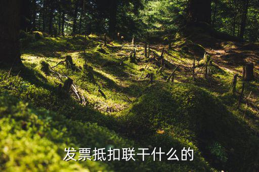 發(fā)票抵扣聯干什么的