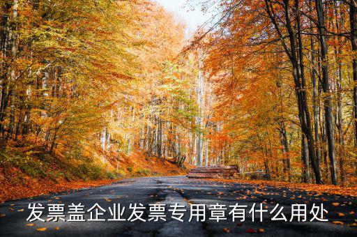 發(fā)票專用章有什么用，公司的發(fā)票專用章是干嘛用的