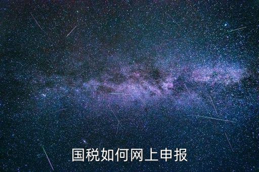 企業(yè)國(guó)稅申報(bào)上什么網(wǎng)，企業(yè)稅務(wù)申報(bào)去哪個(gè)網(wǎng)站
