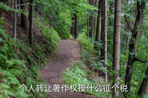 轉(zhuǎn)讓著作權(quán)交什么稅，個(gè)人轉(zhuǎn)讓著作權(quán)按什么征個(gè)稅