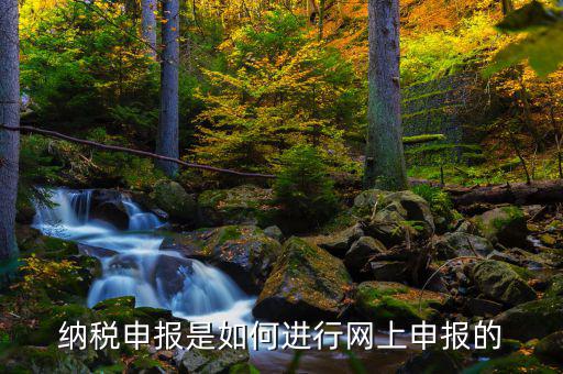 納稅申報是如何進(jìn)行網(wǎng)上申報的