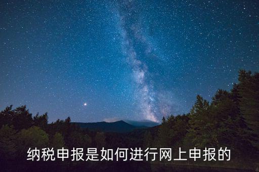 納稅人的網(wǎng)上申報(bào)屬于什么方式，網(wǎng)上申報(bào)屬于