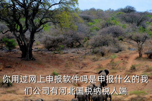 稅友報稅的軟件叫什么，你用過網(wǎng)上申報軟件嗎是申報什么的我們公司有河北國稅納稅人端