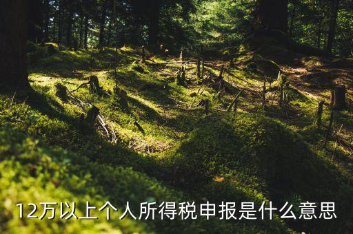 個稅12萬申報是什么意思，12萬以上個人所得稅申報是什么意思