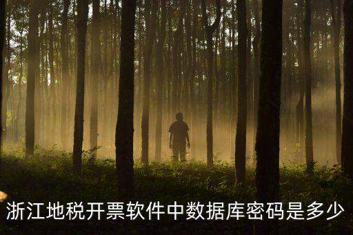 浙江地稅開票軟件中數據庫密碼是多少