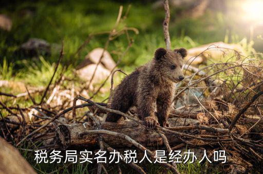 辦稅負責人是什么意思，現(xiàn)在實行的辦稅人員實名登記其中的財務負責人辦稅人員發(fā)票經辦人