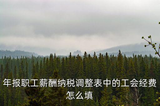 工會經(jīng)費應稅項填什么，網(wǎng)上報稅時又多了一項工會經(jīng)費怎樣填寫計算