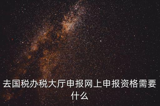 國稅網(wǎng)上申報用什么，去國稅辦稅大廳申報網(wǎng)上申報資格需要什么