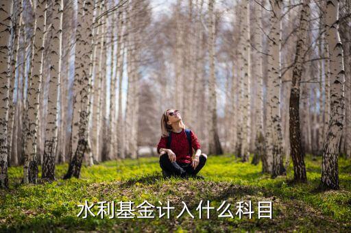 水利基金指什么，水利基金計(jì)入什么科目
