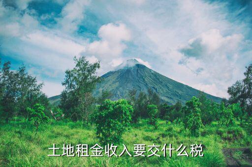 租賃土地需要交什么稅，土地租賃應(yīng)該繳哪些稅收