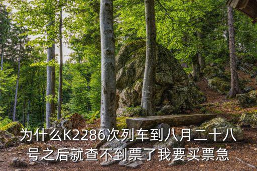 為什么會(huì)查無(wú)此票，在網(wǎng)上訂火車(chē)票時(shí)為什么查余票時(shí)有票 但是訂時(shí)卻沒(méi)有