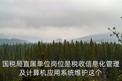 什么是國(guó)稅信息化，信息化在稅務(wù)管理中有什么作用