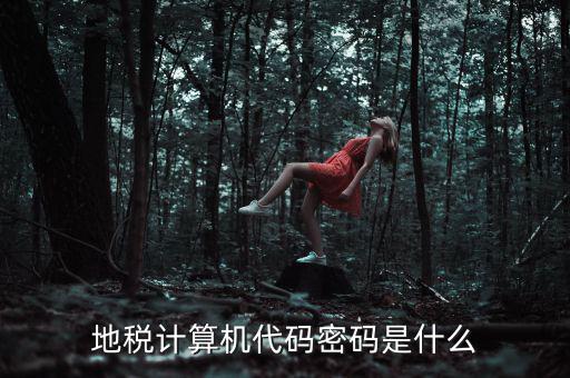 地稅稅務(wù)登陸密碼是什么意思，湖北地稅網(wǎng)絡(luò)發(fā)票登陸密碼是什么急急急