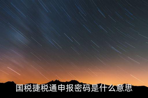 國稅申報登陸密碼是什么意思，國稅第一次網(wǎng)上申報的登陸密碼是什么