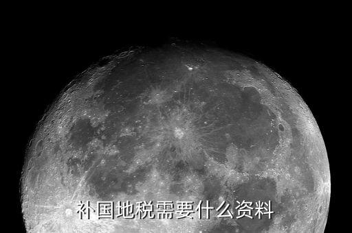 深圳國(guó)稅補(bǔ)報(bào)稅需要什么資料，補(bǔ)國(guó)地稅需要什么資料