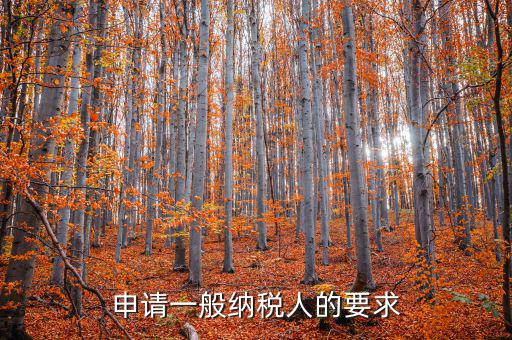 納稅人需求什么，申請一般納稅人的要求