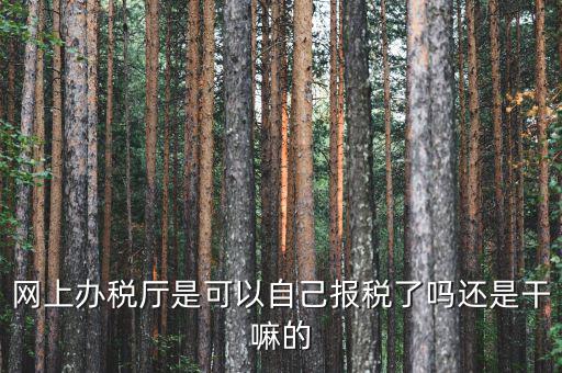 什么是網(wǎng)上辦稅服務廳，電子申報管理系統(tǒng)和網(wǎng)上辦稅大廳有什么不同的