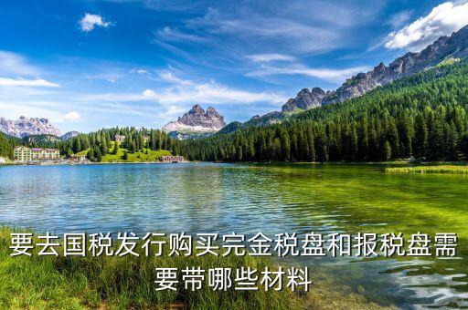 購(gòu)買金稅盤要帶什么，購(gòu)買增值稅發(fā)票系統(tǒng)金稅盤需帶什么資料