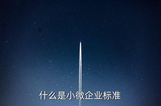 什么樣的標(biāo)準(zhǔn)是小薇企業(yè)，什么是小微企業(yè)標(biāo)準(zhǔn)