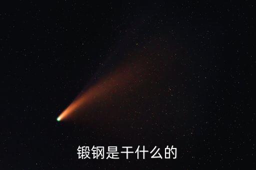 弘遠泰斯是干什么的，飛踏是干什么的