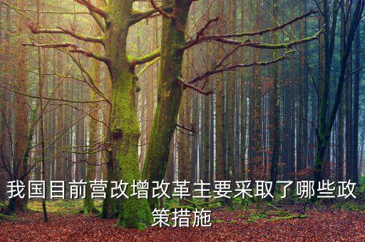 目前營(yíng)改增政策暫不包括什么，營(yíng)改增的范圍不包括  A軌道交通運(yùn)輸 B航空公司出租飛機(jī)配
