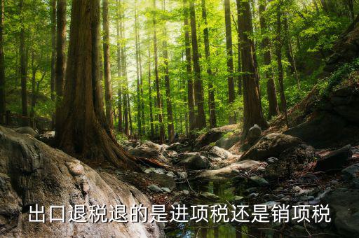 出口退稅退的是什么稅，出口退稅退的是進項稅還是銷項稅