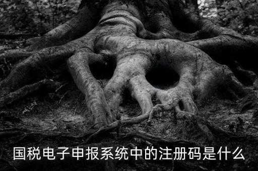 納稅申報碼是什么碼，什么是納稅申報號