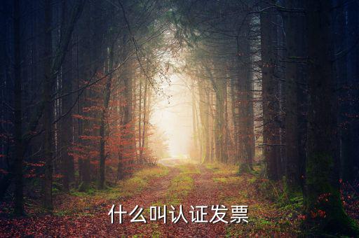 什么叫認(rèn)證發(fā)票，什么叫認(rèn)證增值稅發(fā)票如何認(rèn)證好像還有手工認(rèn)證是怎么回事啊