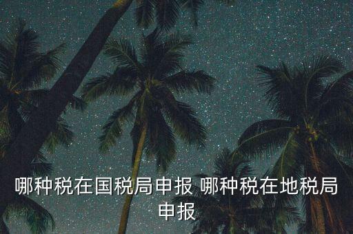 國(guó)稅局可以申報(bào)什么稅，在國(guó)稅申報(bào)的稅種有哪些稅率是多少