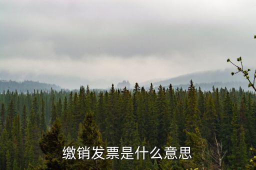 繳銷外經(jīng)證局軌是什么意思，在地稅局外管證已經(jīng)繳銷了還能開票嗎
