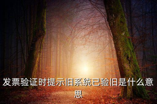 發(fā)票的驗舊時間是什么意思，發(fā)票驗證時提示舊系統(tǒng)已驗舊是什么意思