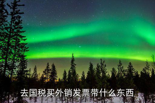 去國(guó)稅買(mǎi)外銷(xiāo)發(fā)票帶什么東西