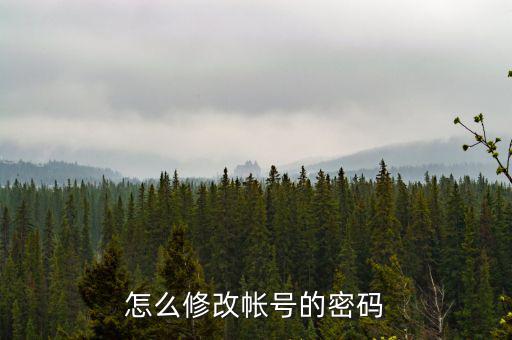 如何修改稅務(wù)賬號(hào)密碼是什么，山東省國家稅務(wù)局網(wǎng)上辦稅平臺(tái)納稅人的密碼怎么改