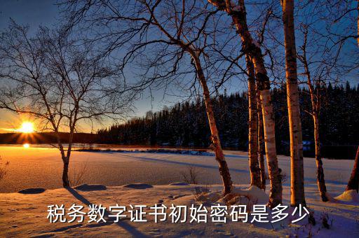 金稅盤(pán)ca密碼是什么，稅務(wù)密鑰是什么東西是數(shù)字證書(shū)嗎