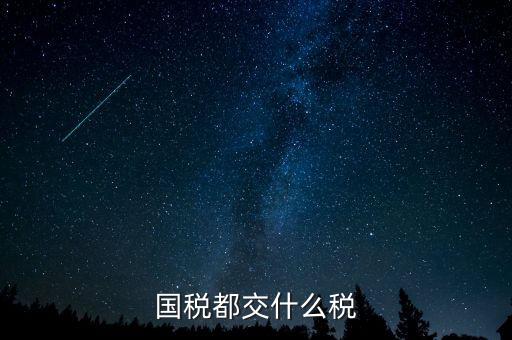國稅五項稅種都是什么，國稅包括哪些稅種
