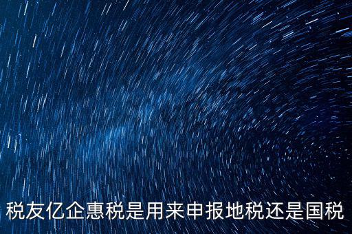 稅友報(bào)稅的是什么，稅友億企惠稅是用來(lái)申報(bào)地稅還是國(guó)稅