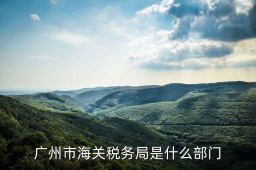 稅務(wù)總局國際司干什么，國家稅務(wù)總局是正部級