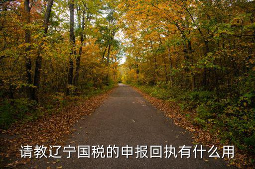 申報(bào)回執(zhí)有什么用，申訴以后的回執(zhí)編有什么用