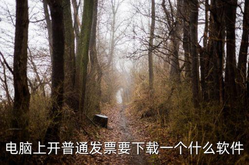網(wǎng)絡開票需要下載什么軟件下載，電腦打發(fā)票是不是要下載一個什么軟件