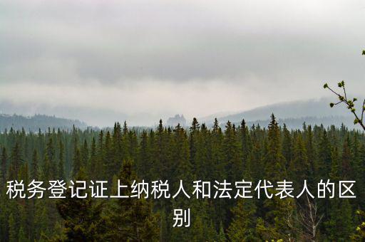 納稅人法定人是什么意思，稅務(wù)登記證上納稅人和法定代表人的區(qū)別