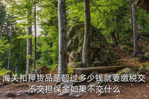 納稅擔(dān)保什么意思，海關(guān)扣押貨品是超過多少錢就要繳稅交不交擔(dān)保金如果不交什么